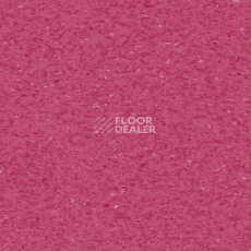 Линолеум Tarkett iQ Granit PINK BLOSSOM 0450 фото 1 | FLOORDEALER